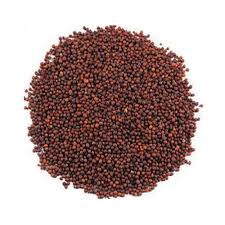 Mustard Seeds