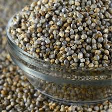 Bajra (millet)